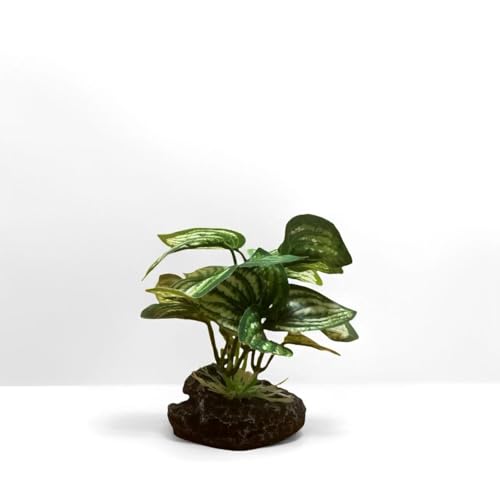 Image of JGbaby Artificial Aquarium Plants,Fish Tank Decorations Betta Leaf Hammock 4in Realistic Silk & Plastic Plants, Hideout Decor for Betta. Goldfish,Reptiles,Small Tanks (Green Type-C)