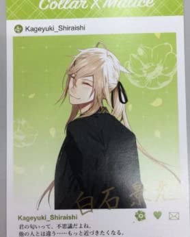 Amazon.co.jp: Collar Malice 白石景之 オトメイト カラーマリス