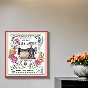 Image of CaptainCrafts Cross Stitch Kits for Adults Counted Needlework Home Decor | Unprinted 14CT Fabrics, Sewing Machine cross stitch, DIY Hand-Embroidery: Cross-Stitch, Gifts