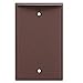 1g Std Brown Blank Plate