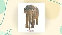 Zoo Animals 8184514603 Book Cover