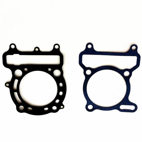 Joint de piston culasse LH 300 pièces de rechange pour Go Kart 22416A