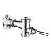 Zilimontt Valvola di scarico a pressione manuale in ottone per WC squat con distanza del foro centrale regolabile 105-115 mm e per una facile installazione per uso domestico ufficio hotel immagine