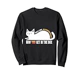 Schrödinger's Cat Physics Science