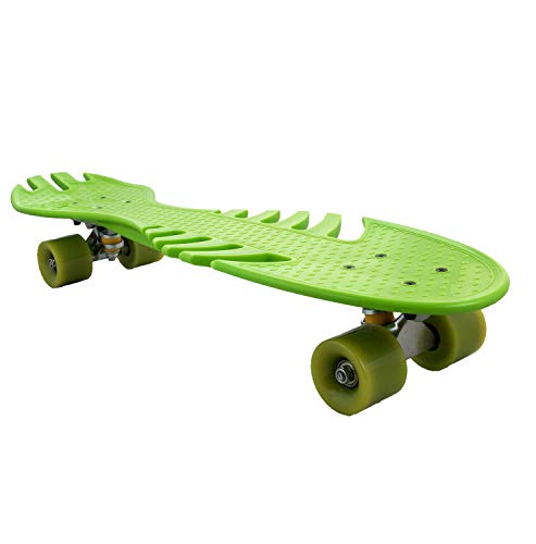 Airel Monopatin Skateboard | Skateboard 4 Ruedas | Monopatin | Skateboard con Rodamientos | Tabla Skate | Skateboard Completo
