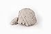 LANDEN Elephant Skin Stone Natural Multi-Texture Rocks Grey(18lbs, 3~9 inches,7pcs) for Aquarium, Paludarium, Terrariums, Landscaping, Decorative of Caves, Waterfalls, Cliffs