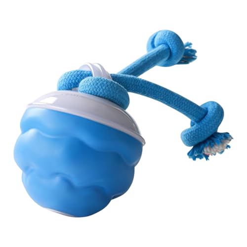 Générique Hundeball, der sich selbst bewegt- automatisches mobiles Spielzeug mit Touchscreen, intelligenter Quietschball, wiederaufladbar über USB, für kleine und mittelgroße Welpen, um Langeweile zu
