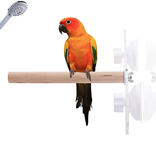 Bird Wood Shower Perch, Bird Stand Perch, Parrot Perch with Suction Cup for Home Outdoor Window Glass Birdcage Parakeet Cockatiel Stand - image 8