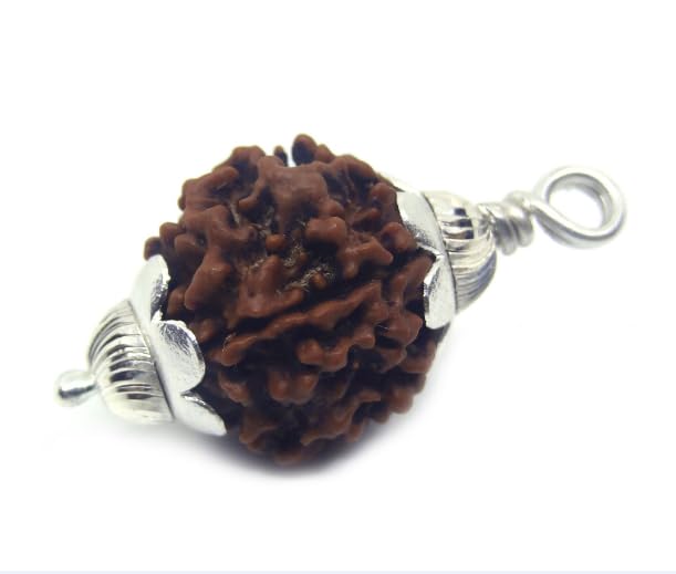 NEXG 1 Mukhi Rudraksha GOL Dana Original Certified Real Ek Mukhi ...