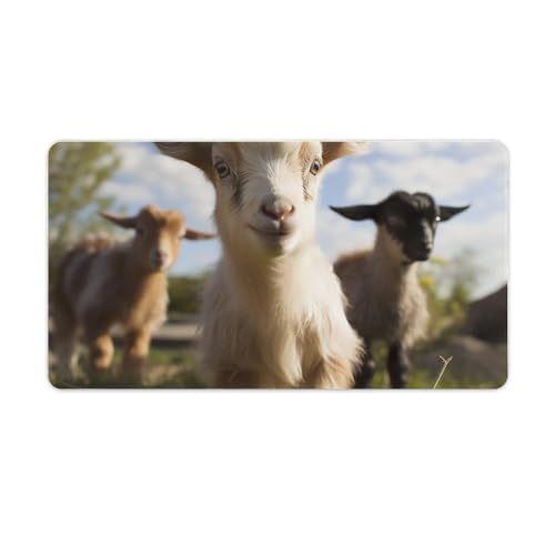 Tapis de bureau pour clavier et ordinateur style chèvre mignon