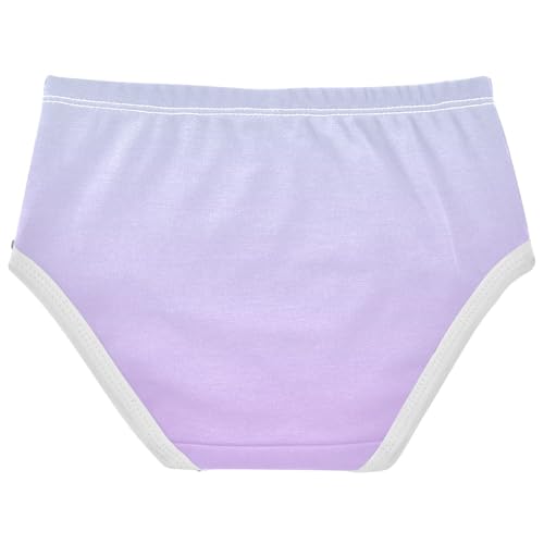 Joisal Cotton Toddlers Underwear Floral Ombre Blue Mauve Gradient Panties Little Girl Pattern Briefs Kids Undies 2t2
