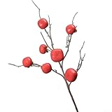 Ramas de granada artificiales, ramas de árbol de granada falsas, tallo de bayas artificiales, flores, accesorios de frutas artificiales para decoración del hogar (caqui rojo)