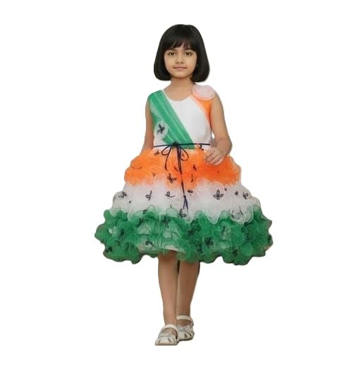 Independence Day Special Frock for Girls, Tricolor Theme Net Fit and Flare Dress for Kids-image-1