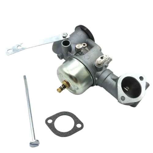 Carburateur 491590 de haute précision pour moteurs de rechange 193700