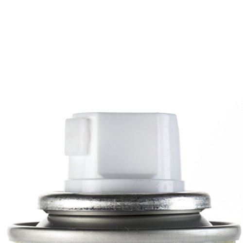 Tulip 35029 Instant Color Shots Festival Fabric Paint (5 Pack)