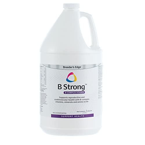 Revival Animal Health Breeder's Edge - B Strong - B Vitamin, Iron And Mineral Supplement - Vitamin B For Dogs, Cats, Puppies & Kittens - 1 Gallon Liquid #TOP24