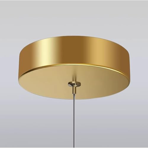 Plafonnier LED papillon pour remplacer un lustre ancien usé - 7