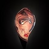 iMusician | Nicolas Wilhem Mollard