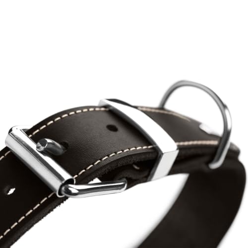 HUNTER AALBORG SPECIAL Hundehalsband, Leder, strapazierfähig, komfortabel, 45 (S), schwarz