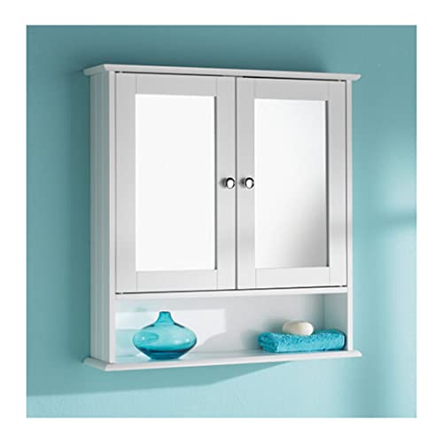 HK : Mirrorr double porte avec étagère Meuble de salle de bain en bois 56 cm x13 cm x 58 cm