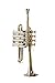 New Piccolo Trumpet Key Bb Free Hard Case & MouthPiece (Golden + Silver)