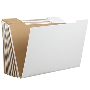 Dinifee 10 Stück Aufbewahrungsordner für flache Gegenstände