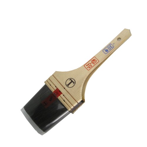 ��ˍ��� �g�^������ �u���v 30��