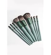 DIAMONDS R 4EVER 9 PIECE LUXURY BRUSH SET (All About Them Benjamins)