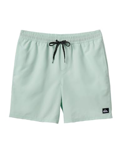 Quiksilver - Mens Everyday Solid Volley 15 Shorts, Color Jade Grey, Size: Large