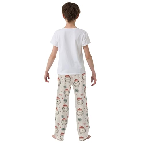 ZZXXB Winter Hedgehog Holly Leaves Boys Long Pants Soft Trousers Elastic Waist Kids Lounge Bottoms with Pockets S-XL3