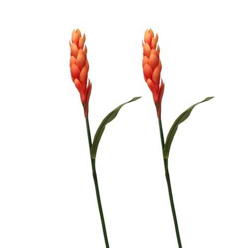 Shirfloral 2Pcs Fake Ginger Lily Stem Bromeliad Artificial Flower 30.7' Ginger Flower for Flower Bouquet Office Home Party Decoration