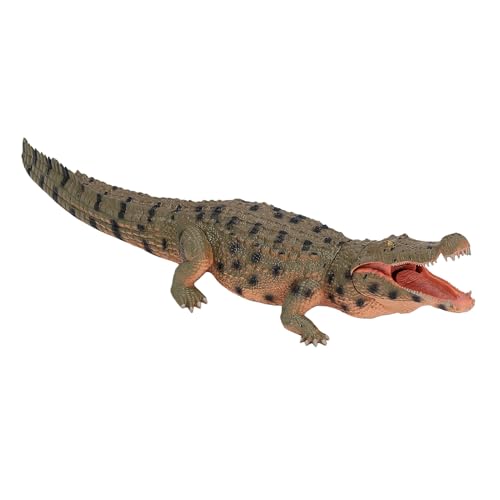 Modelo de cocodrilo educativo que soluciona el juego estático 6