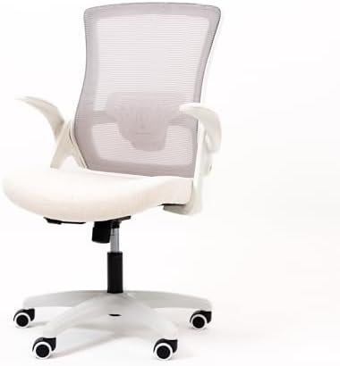 （12:30時点） 【体圧分散×低反発クッション】NEOCHAIR オフィスチェア デスクチェア メッシュ キャスター 通気性 跳ね上げ式 テレワーク 在宅ワーク DBS
