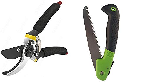 Birud Garden Shears Sharp Cutter Pruners Scissor and Garden Hand Saw Tools Cutting Sawing Pruning Tree Branch (B08X1SL672) Amazon Price History, Amazon Price Tracker