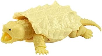 31X2vK0uHML._AC_UF350,