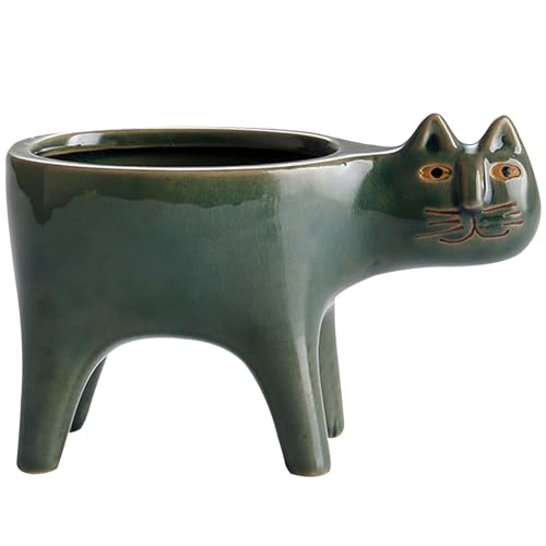 Pot de fleur conteneur plante succulente petit cache-pot intérieur