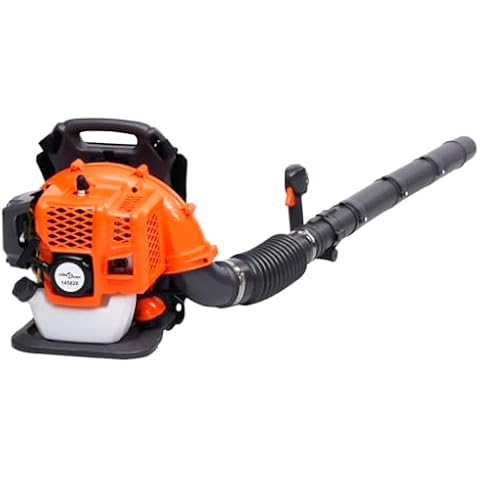 vidaXL Souffleur à Feuilles 42,7 CC Cover