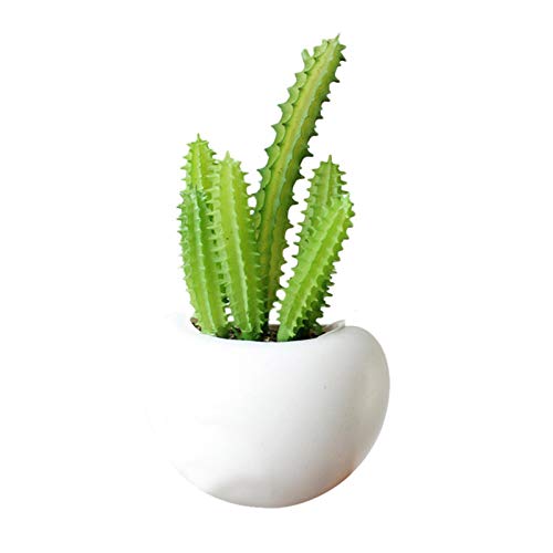 Vecksoy Aimant Succulent | Autocollant de réfrigérateur Aimant succulentes | Mini aimants artificiels pour réfrigérateur, Cuisine, Tableau Blanc, Bureau et Maison, à Suspendre ou à Plat Cover
