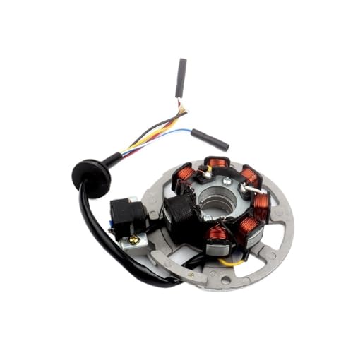 Estator magnético Scooter 50cc 2 Tiempos para encendido de SP RY6 RY8 2009 6