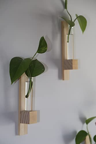 ANCIENT SHOPPEE Test Tube Wall Planter (Set of 2) | Hanging Planters | Stick to Wall | Wall Planter | Planter for Indoor Plants |Decorative Planter (Comes with Double Sided Tape)