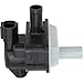 Holstein Vapor Canister Purge Solenoid
