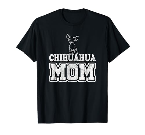 Questo simpatico cagnolino Chihuahua è seduto su un testo mamma in College Design e sembra davvero un dolce e giovanile. E 'per le persone come ama i loro piccoli cani domestici più di tutto il resto su questo pianeta. Chi può resistere a questo mutt in miniatura