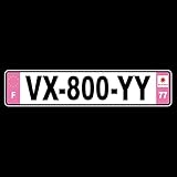 VX800