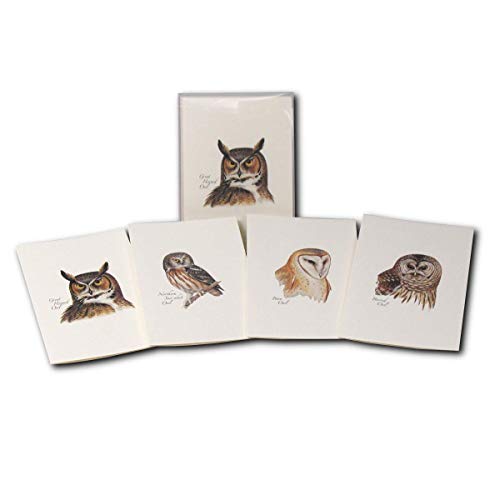 Eartearth Sky + Water - Peterson’s Owl Assortment Notecard Set - 8 Blank Cards With Envelopes (2 Each Of 4 Styles) #TOP12