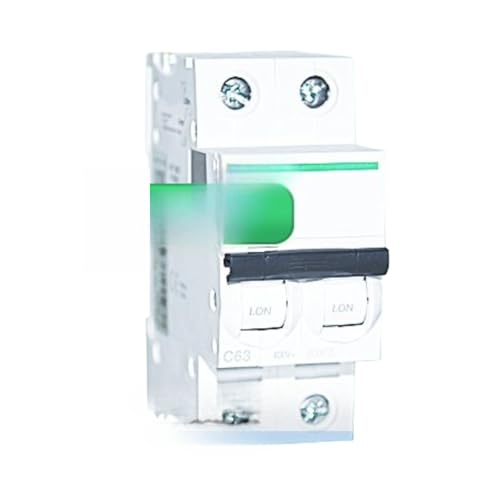 Disjoncteur 2P D20A pour sécuriser la pompe à chaleur de la maison