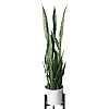 36 inch artificial snake plant flybold faux indoor decor in white pot with tripod stand lifelike tall greenery for modern minimalist spaces elegant floor accent for home and office  urban country home decor