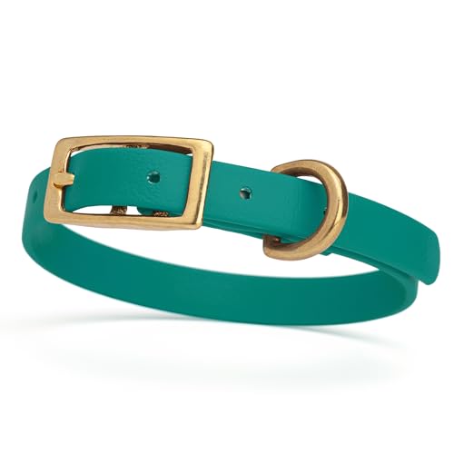 Image of Viper Biothane Heavy Duty Waterproof Dog Collar Strong Coated Nylon Webbing w /Solid Brass Hardware Odor-Proof Easy to Clean High Performance Fits Small Medium or Large Dogs, Blue Aqua
