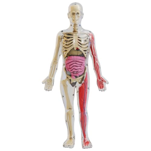 ZMBJ �ÈŔ����l�̖͌^ �q��STEM�m��ߋ� ����E���i�E�ؓ��g�ݗ��� ��U�w?�m �C���^���N�e�B�u�Ȋw�L�b�g �n���E�B�[���A�N�e�B�r�e�B (�l�̃V���[�Y�y����l�̑g�����f���z)