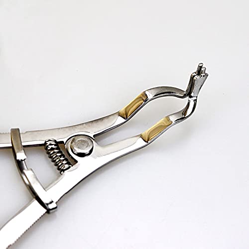 Dental Forceps Matrix Band Forming Clip Matrices Pliers Sectional Contoured Stainless Steel #TOP1