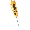 Digital Thermometer